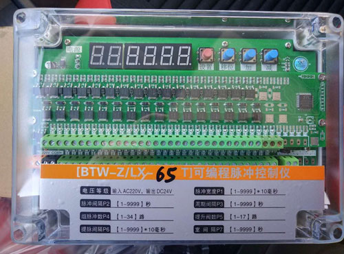 BTW-Z/LX-65T可编程脉冲控制仪